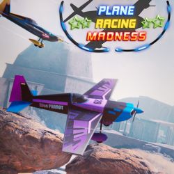 Plane Racing Madness Image